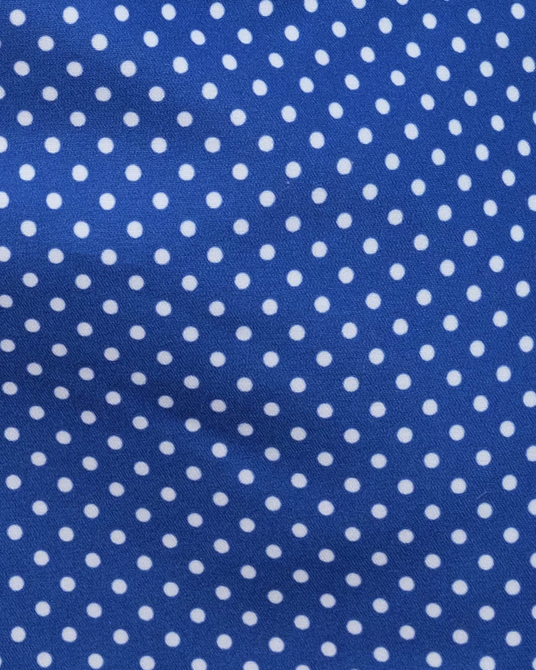 Navy Dots
